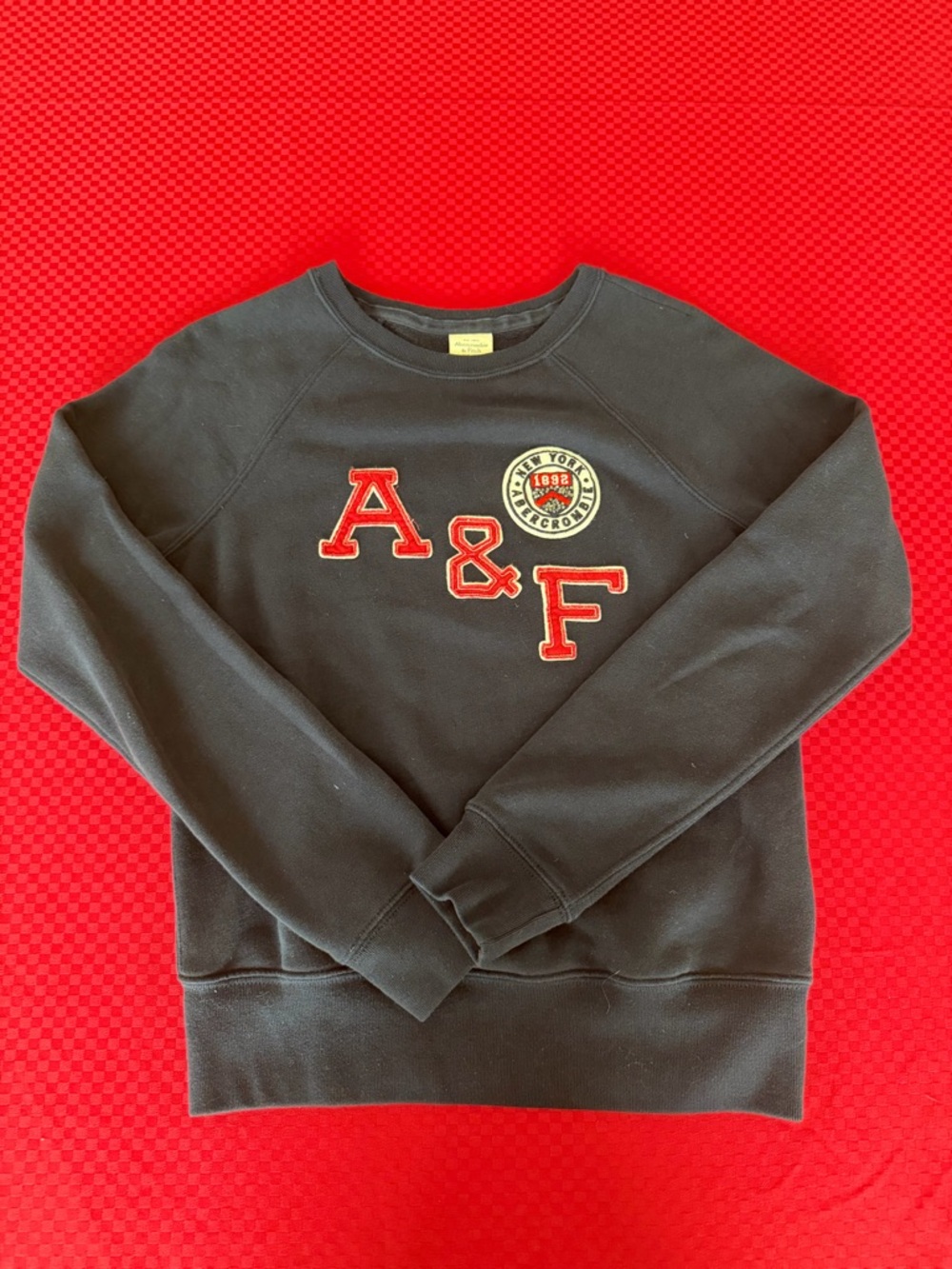 Abercrombie & Fitch Women’s Navy Crewneck with Red Logo